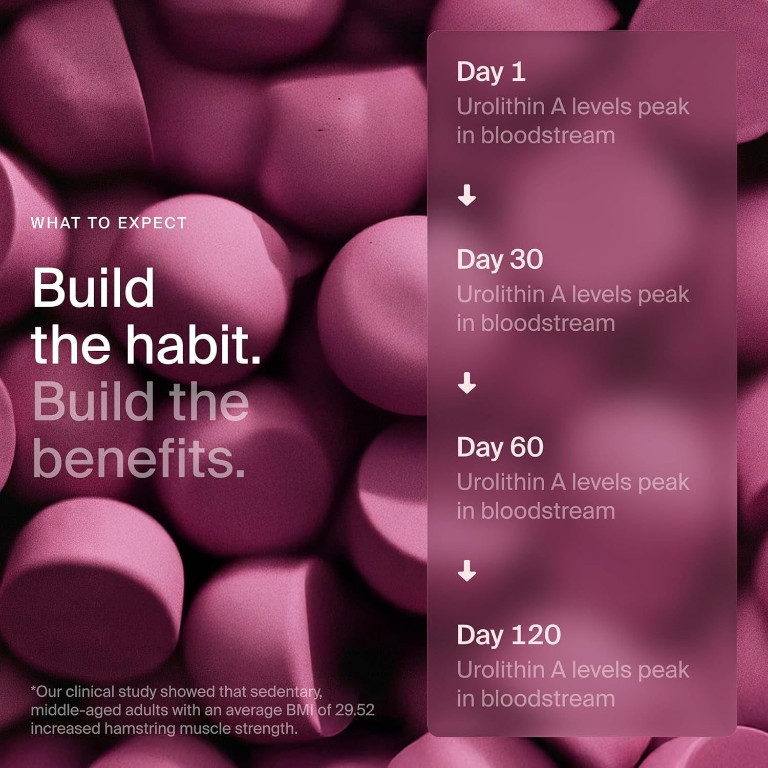 Mitopure Urolithin a Supplement Gummies - Clinically Proven Support for Healthy Aging Cellular Energy Muscle Strength and Longevity