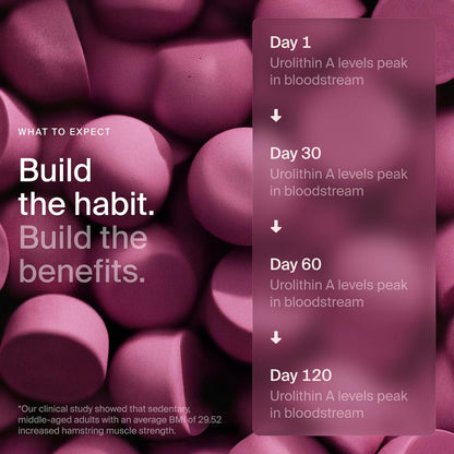 Mitopure Urolithin a Supplement Gummies - Clinically Proven Support for Healthy Aging Cellular Energy Muscle Strength and Longevity