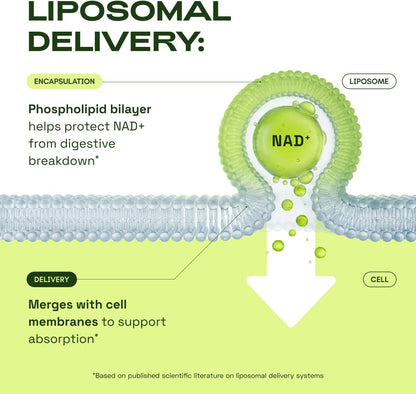 Revitalize Your Wellness with Our Premium Liposomal NAD+ Supplement and Resveratrol