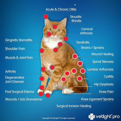 Vetlight® Pro Multi-Use Laser – Advanced Healing for Humans & Pets 🐾✨