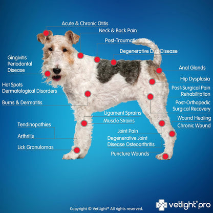 Vetlight® Pro Multi-Use Laser – Advanced Healing for Humans & Pets 🐾✨