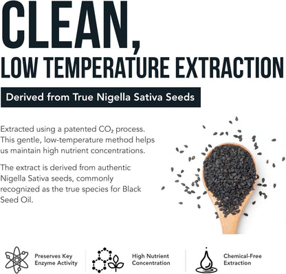 🌿 Premium Black Seed Oil Capsules | 20% Thymoquinone High Potency | Ultra-Concentrated Nigella Sativa 💎 - 60:1  (60 Capsules)