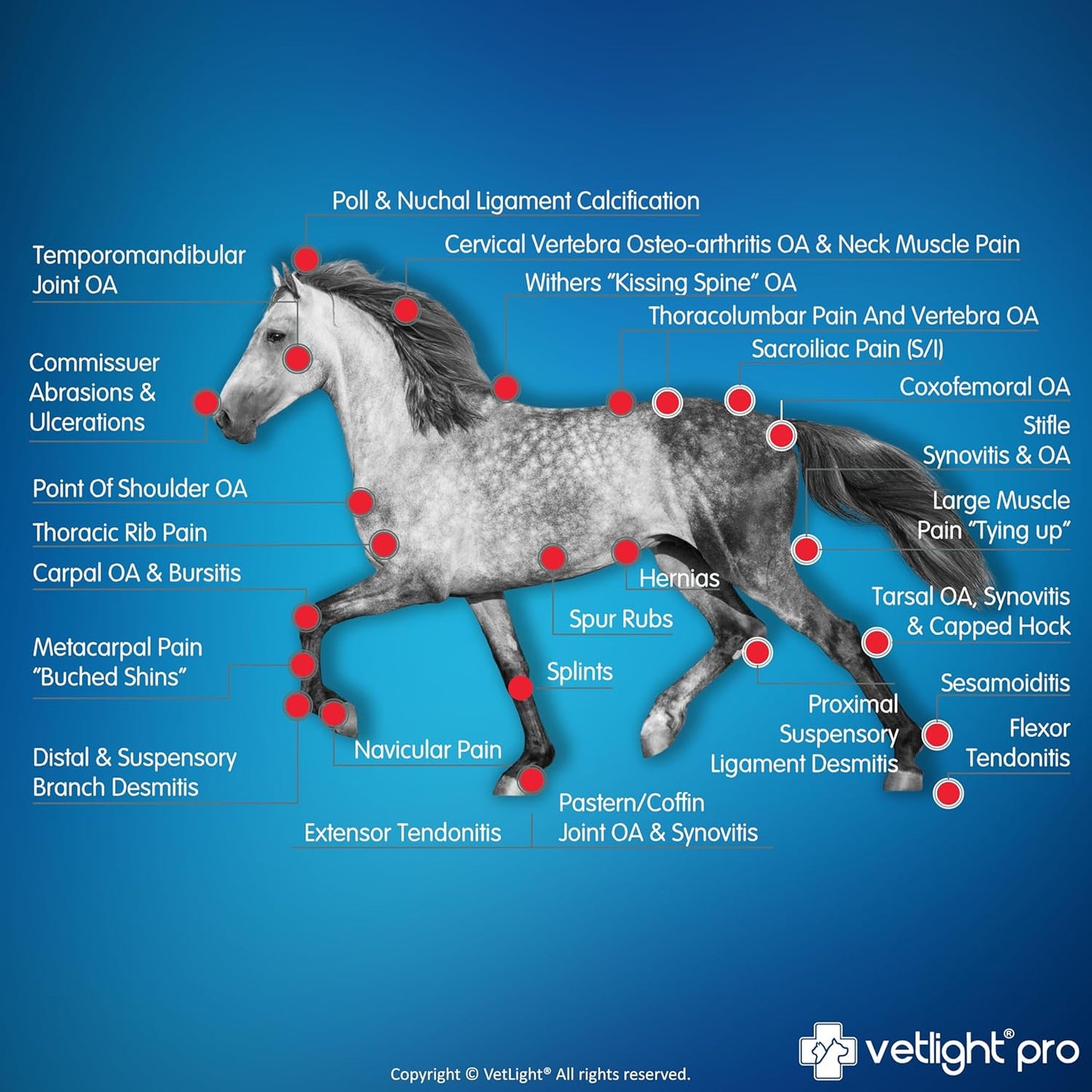 Vetlight® Pro Multi-Use Laser – Advanced Healing for Humans & Pets 🐾✨