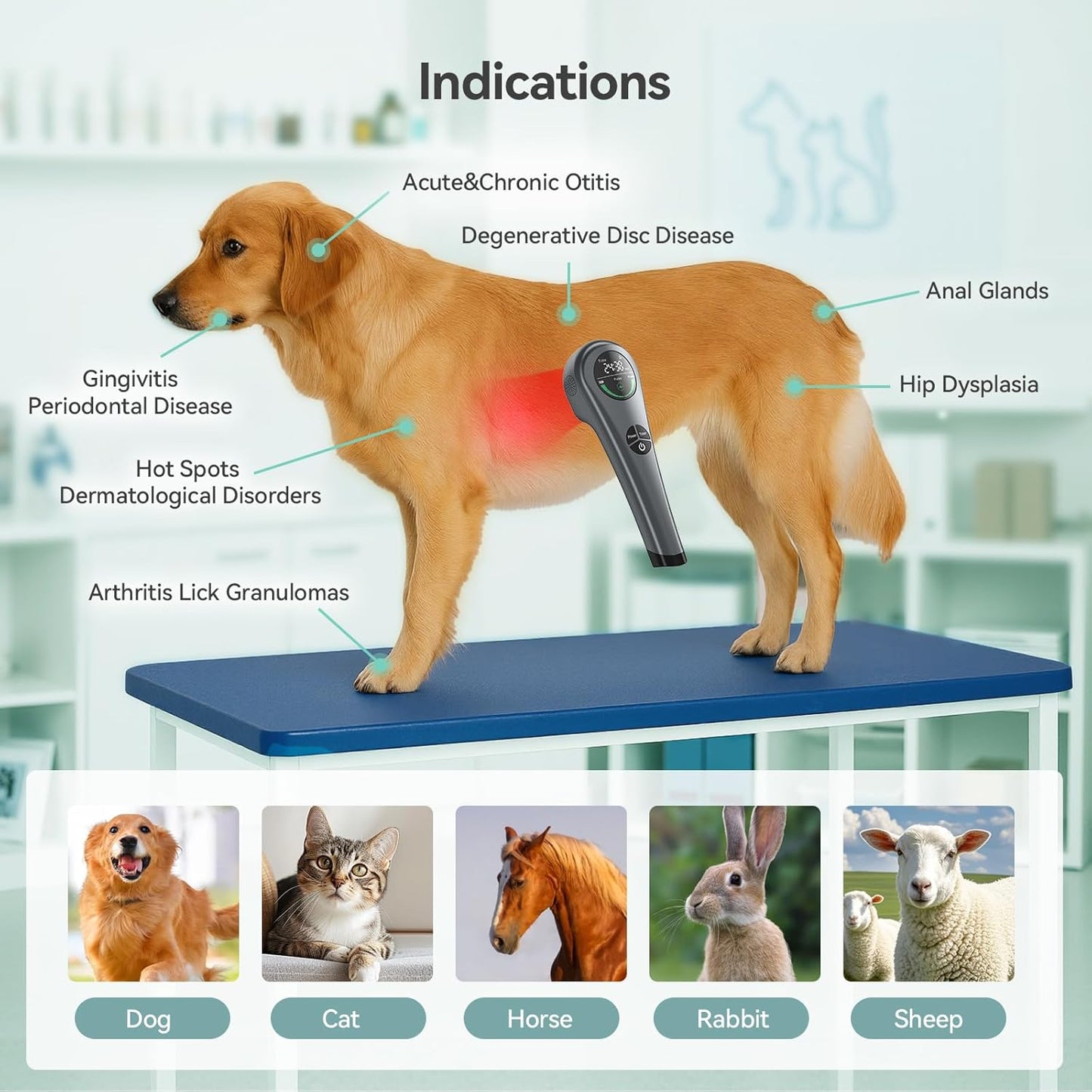 🐾 Revitalize & Relieve: Advanced 2-in-1 Red Light Therapy Wand 🐾int, Muscle