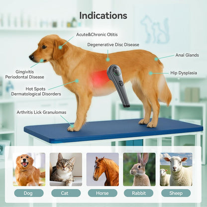 🐾 Revitalize & Relieve: Advanced 2-in-1 Red Light Therapy Wand 🐾int, Muscle
