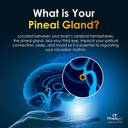 Pineal XT Gold - Pineal Gland Supplement - Third Eye Awakening - Focus and Memory Supplement for Brain - 7 Powerful Ingredients Decalcify, Detox, and Activate Your Pineal Gland