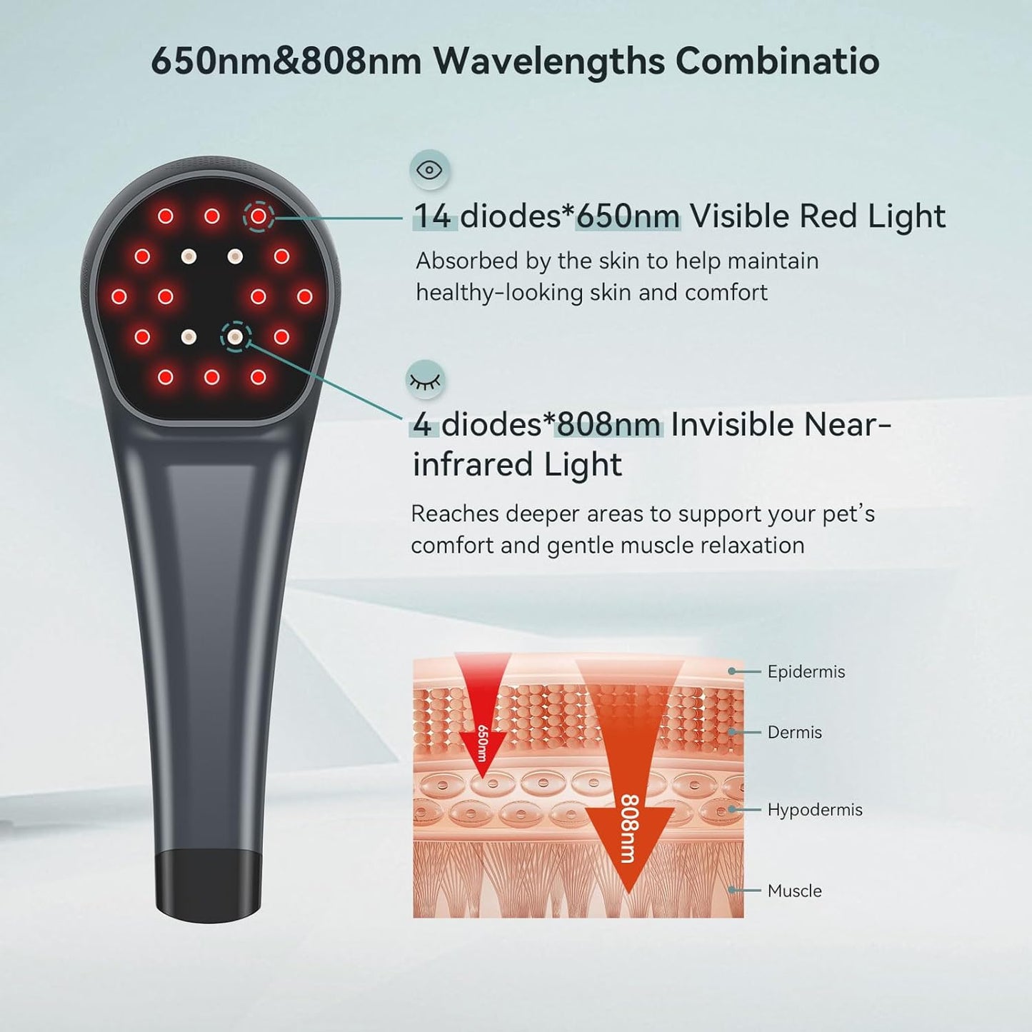 🐾 Revitalize & Relieve: Advanced 2-in-1 Red Light Therapy Wand 🐾int, Muscle