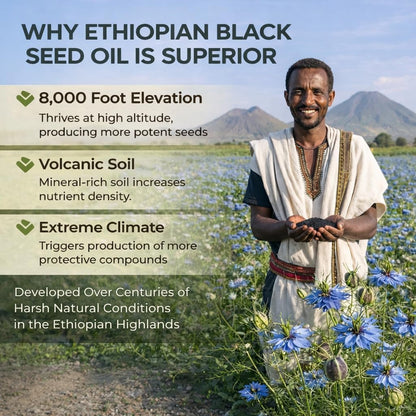 Ethiopian Black Seed Oil Softgels | Ethiopian Black Seed Oil Organic Cold Pressed | 4.64% Thymoquinone | Non-Gmo, Gluten-Free,60 Capsules